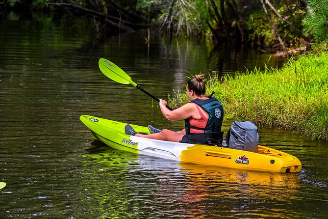 Short River Kayak Tour in New Jersey Review - What to Expect on the Day of the Tour