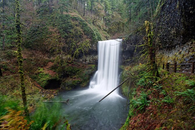 Silver Falls Private Hike Tour - Inclusions of the Tour