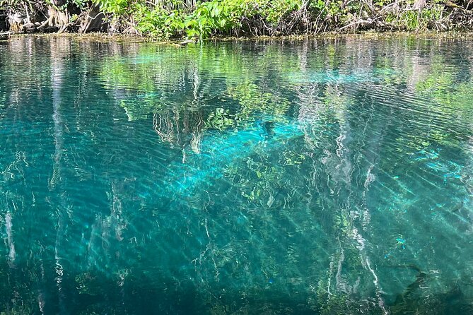 Silver Springs and Glass-bottom Boat Tour Review - Exploring Silver Springs State Park