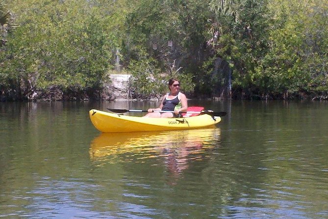 Single Kayak Rental Review: Manatees and Dolphins - Wildlife Sightings: Manatees and Dolphins