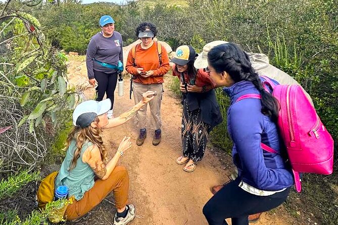 Small Group Hike Through San Diegos Heart and Soul - Hiking Requirements and Recommendations
