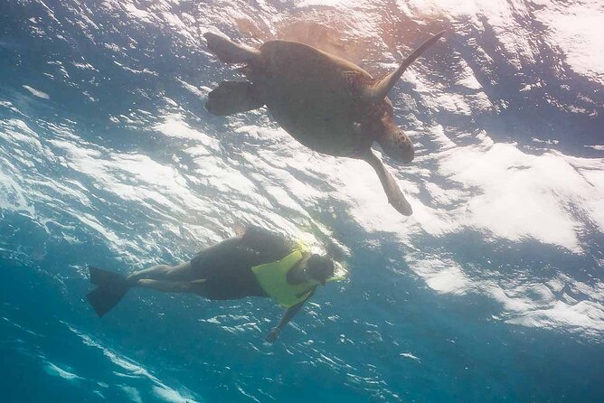 Snorkel With Turtles - Arriving at the Meeting Point