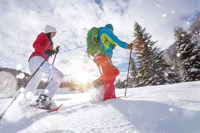 Snowshoe Rentals in South Lake Tahoe - Location and Meeting Point