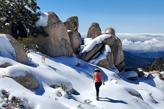 Snowshoe Tour Big Bear Lake Review - Essential Details for Your Visit