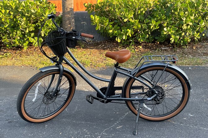 St Pete E-Bike Rentals Review: A Fun Adventure - Exploring Rental Options: Full-Day and Half-Day