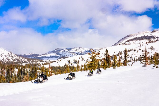 Tahoe Snowmobiling Tours Review - Details on Pricing and Operator