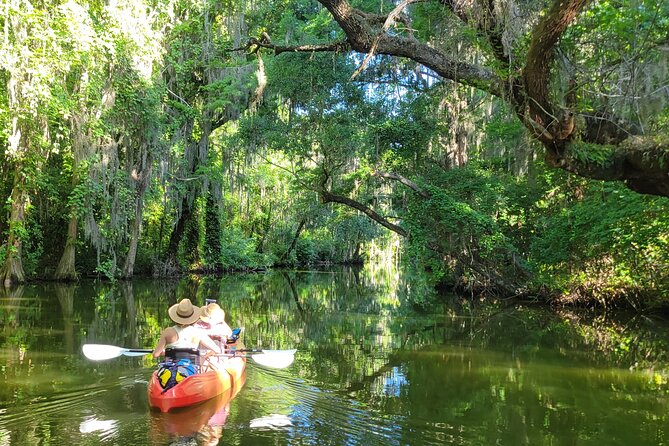 Tavares Half-Day Kayak Rental for Two on the Dora Canal - Meeting and End Point