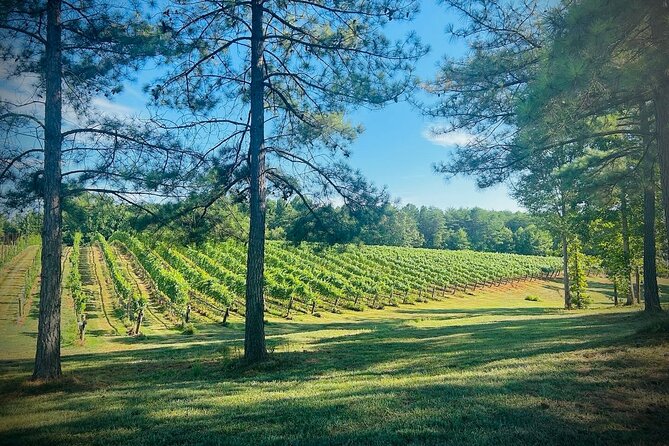 Three Vineyards Half Day Private Wine Tour Review - Details on Pricing and Booking Process