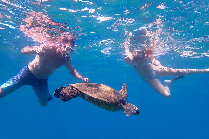 Turtle Town Beach Snorkel - Meeting and End Point