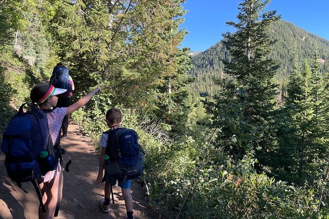 Utah Mountain Backcountry Day Trip Review - Booking Process and Pricing Details