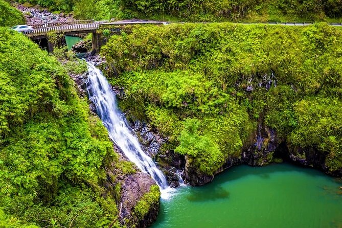 Viator Exclusive: Maui Tropical Rainforest Small Group Tour - Included in the Tour