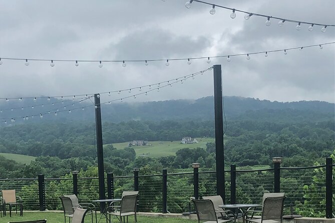 Virginia Winery Excursion by Luxury Vehicle Three Wineries - Transportation and Comfort