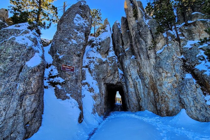 Winter Yellowstone, Grand Teton, and Mount Rushmore 7-day Tour - Participation Requirements and Conditions