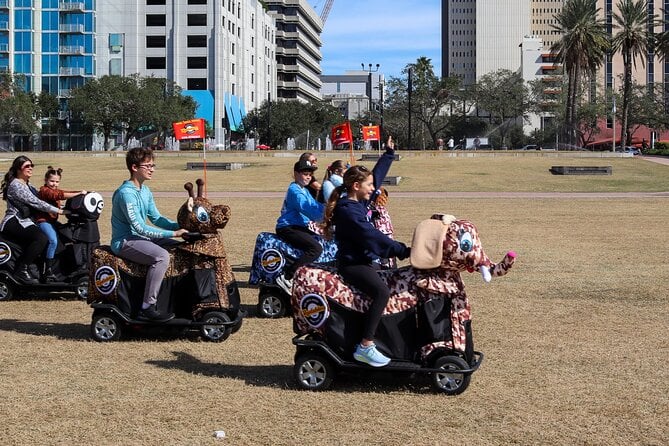 Wyld Things Rydables Tour of Tampa - Accessibility and Participation
