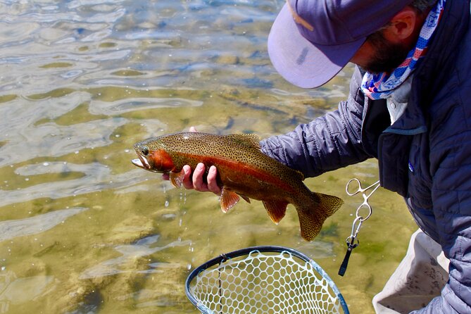Yellowstone Full Day Wade Fishing Trip - Meeting and Pickup Information