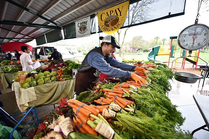 Yolo County Explorer: Culinary & Cultural Tour Review - Key Features of the Audio Tour