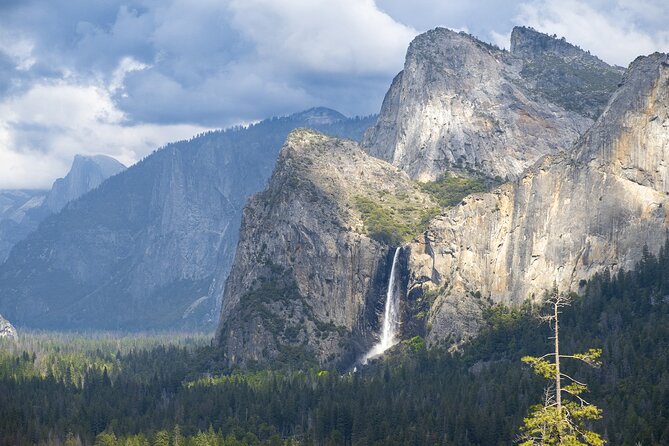 Yosemite Day Tour + Alcatraz Night Tour & Aquarium Access - Day 1: Aquarium of the Bay Admission