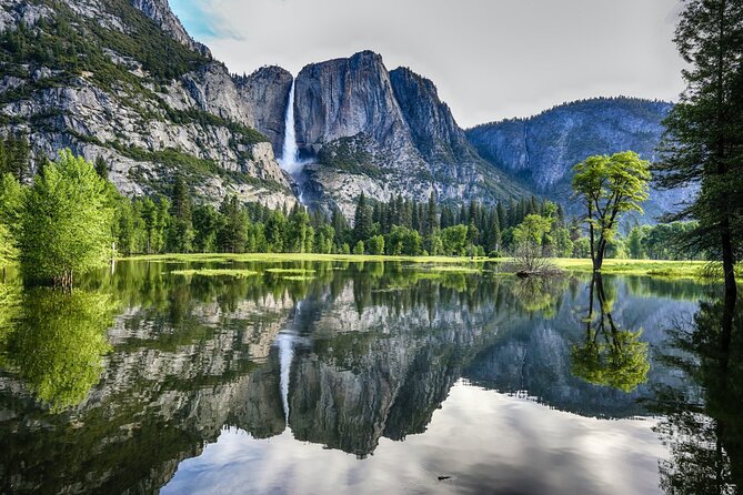 Yosemite Highlights: 5-Day Tour Review - Day-by-Day Tour Breakdown