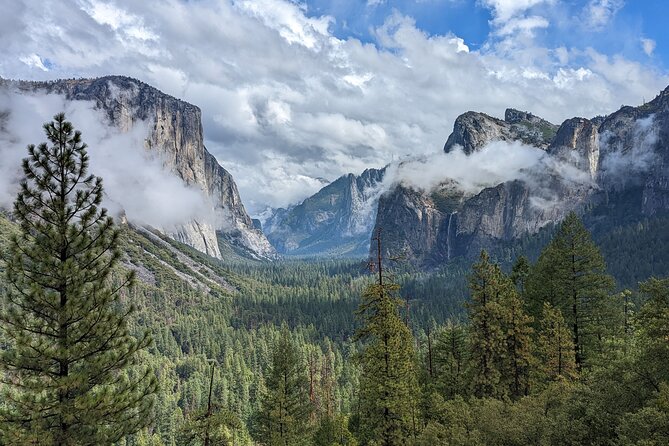 Yosemite National Park Day Tour With Optional Alcatraz - Accessibility Features