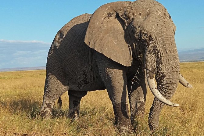 3 Days Amboseli National Park