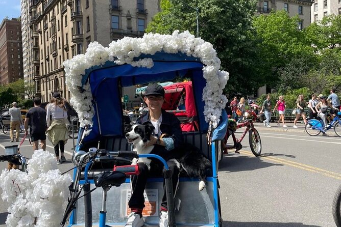 1 Hour Private Guided Pedicab Tour Review - Comparing Accessibility and Convenience