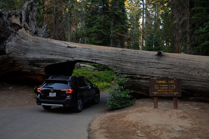 2 Days Private Tour to Sequoia and Kings Canyon Parks From LA - Pickup Information and Schedule