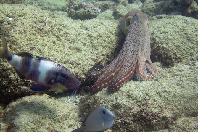 2 Tanks Scuba Dive Kauai From a Boat - Suiting Up and Checking the Gear