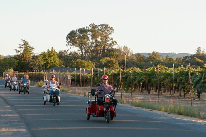 3 Hour Electric Trike Sunset Tour at Sonoma - Participant Requirements
