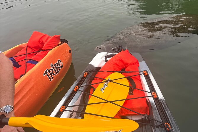3 Hour Guided Tandem Kayak Adventure Review - Pricing and Booking Information