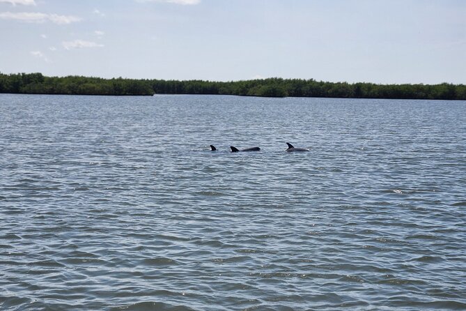 4 Hour Custom Private Boat Charter - Inclusions and Amenities
