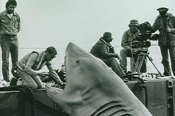 4 Hours Hop-On Hop-Off Jawsome Jaws Tour - Spotting Iconic Jaws Locations