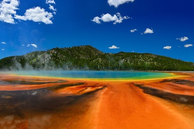 5 Day Yellowstone, Grand Teton and Salt Lake City Tour - Health and Safety Regulations