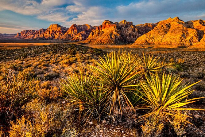 7 Magic Mountains Tour Review: Thrills Await - Key Meeting and Pickup Details