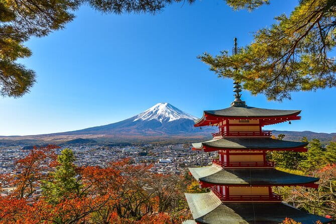 All Inclusive・Private Tour Japanese Wedding and Tokyo Tour - Accessibility and Participation