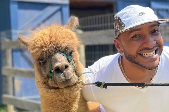 Alpaca and Llama Trek in Pleasant Valley - Inclusions and Restrictions