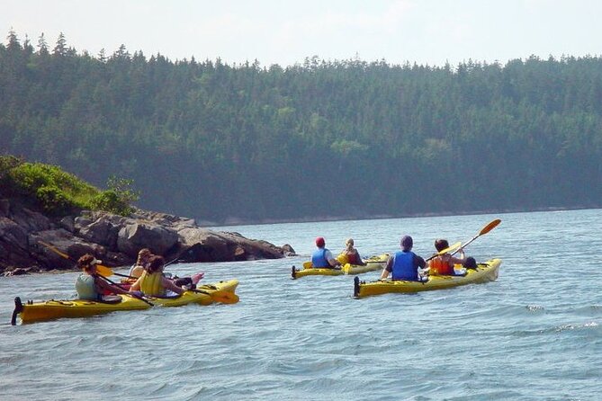 Aqua Safari Kayak Tour Departing Southwest Harbor - Cancellation and Reservation Policy