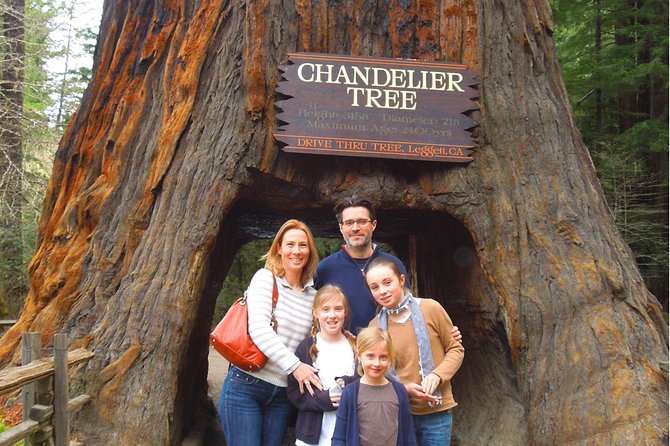 Avenue of the Giant Redwood Private 1 Day Tour From San Francisco - Pricing and Availability