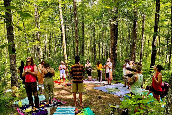 Bainbridge Island Serenity Forest Hike & Cultural Landmarks Tour - Transportation and Logistics