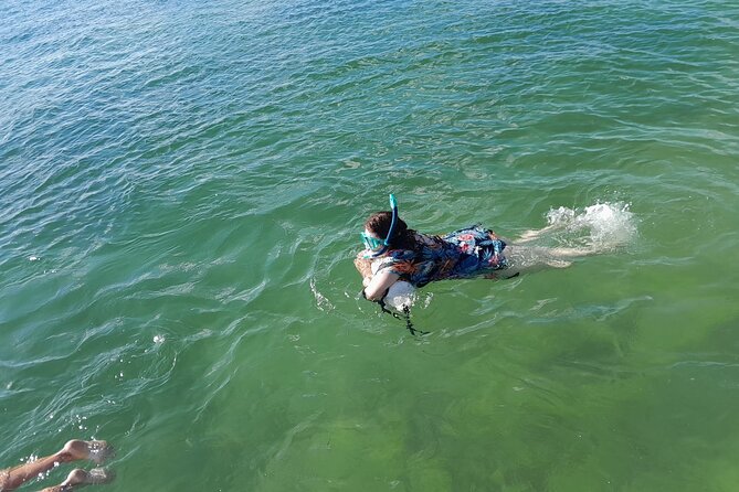 Bayside Market Place Snorkeling for Beginners - Schedule and Timing Details