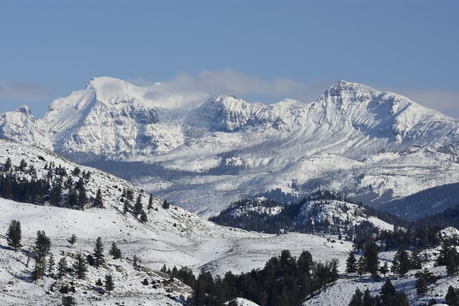 Beartooth Highway Self-Guided Driving Audio Tour Review - Pricing and Overall Value