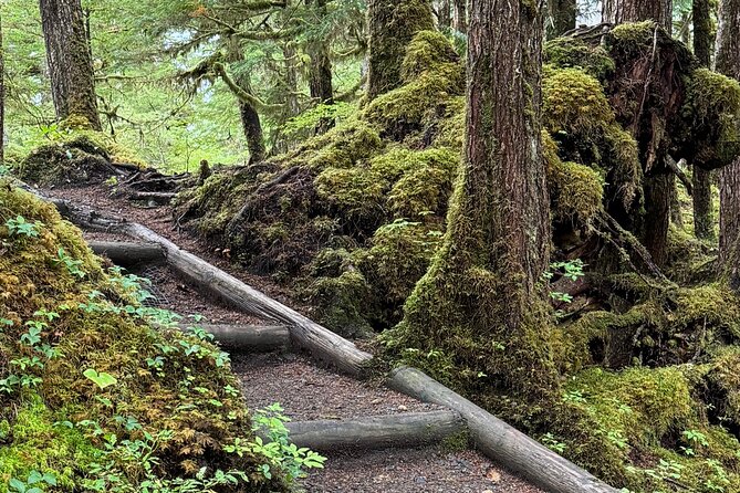 Beautiful Hike on Tongass National Forests Lunch Creek Trail - Refueling and Recharging on the Trail