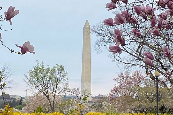 Beyond the Closet Walking Tour - Booking Information