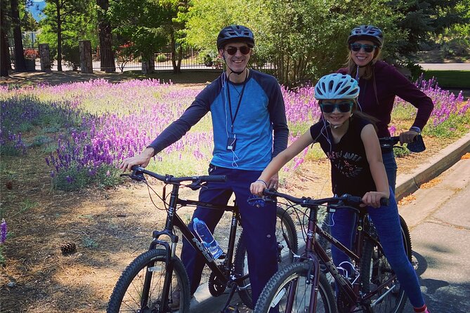 Big Bear Bike Tours Review: Adventure Awaits - Physical and Experience Requirements