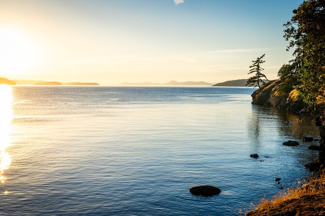 Bioluminescence and Sunset Kayak Tour Review - Health and Accessibility Information