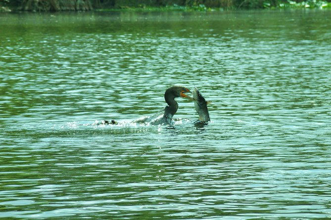 Blue Springs Manatee Tours Review - Preparing for Your Kayak Adventure