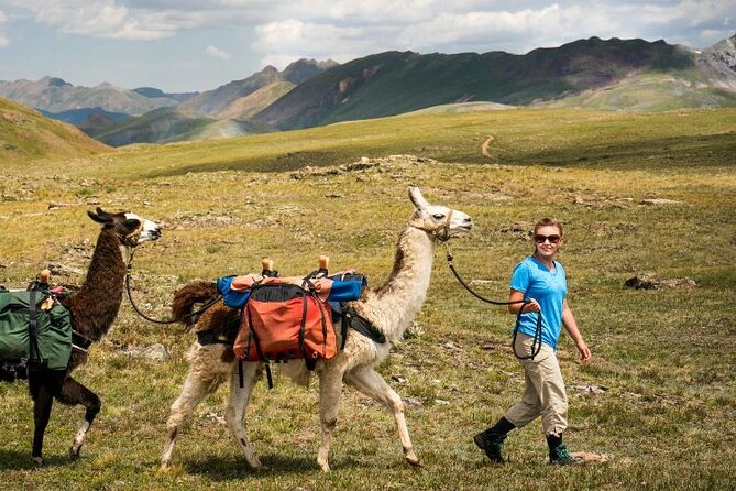 Bridger Teton Llama Treks - Pricing and Inclusions