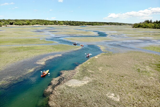 Cape Cod Kayak Rentals Review - What to Expect From the Kayak Experience