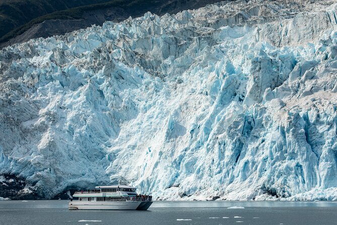 Captains Choice Kenai Fjords National Park Tour From Seward - Schedule and Availability