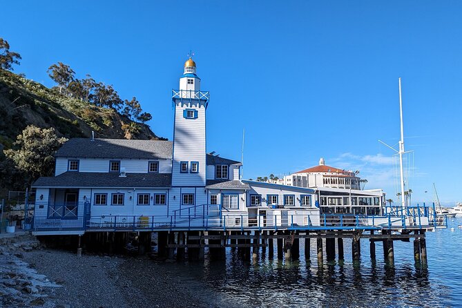 Catalina Scavenger Hunt Walking Tour and Game - Participant Requirements