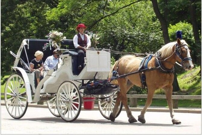 Central Park and NYC Horse Carriage Ride Review - Whats Included in Your Tour